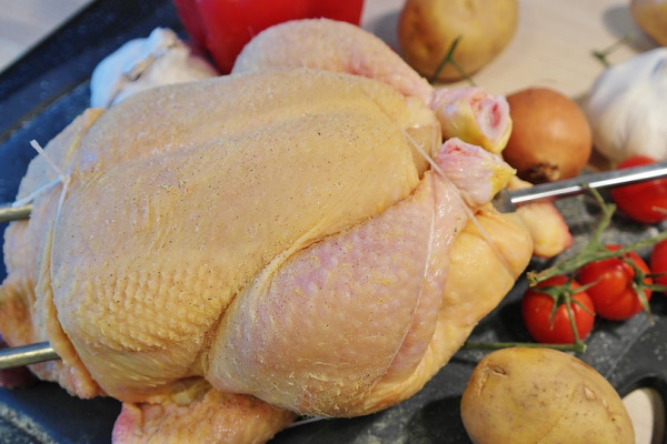 chicken-1884873_960_720.jpg